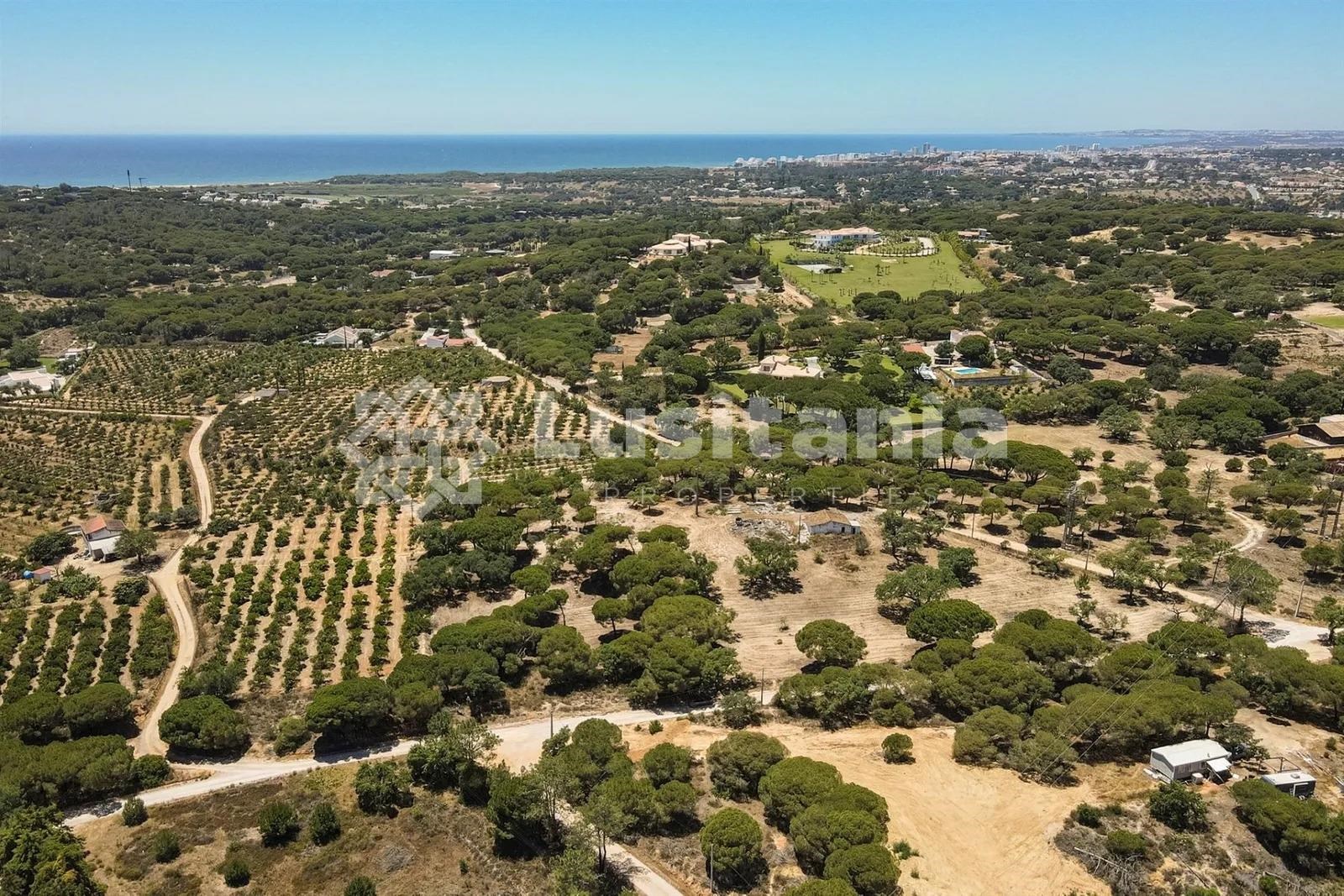 Land, For Sale Land, For Sale