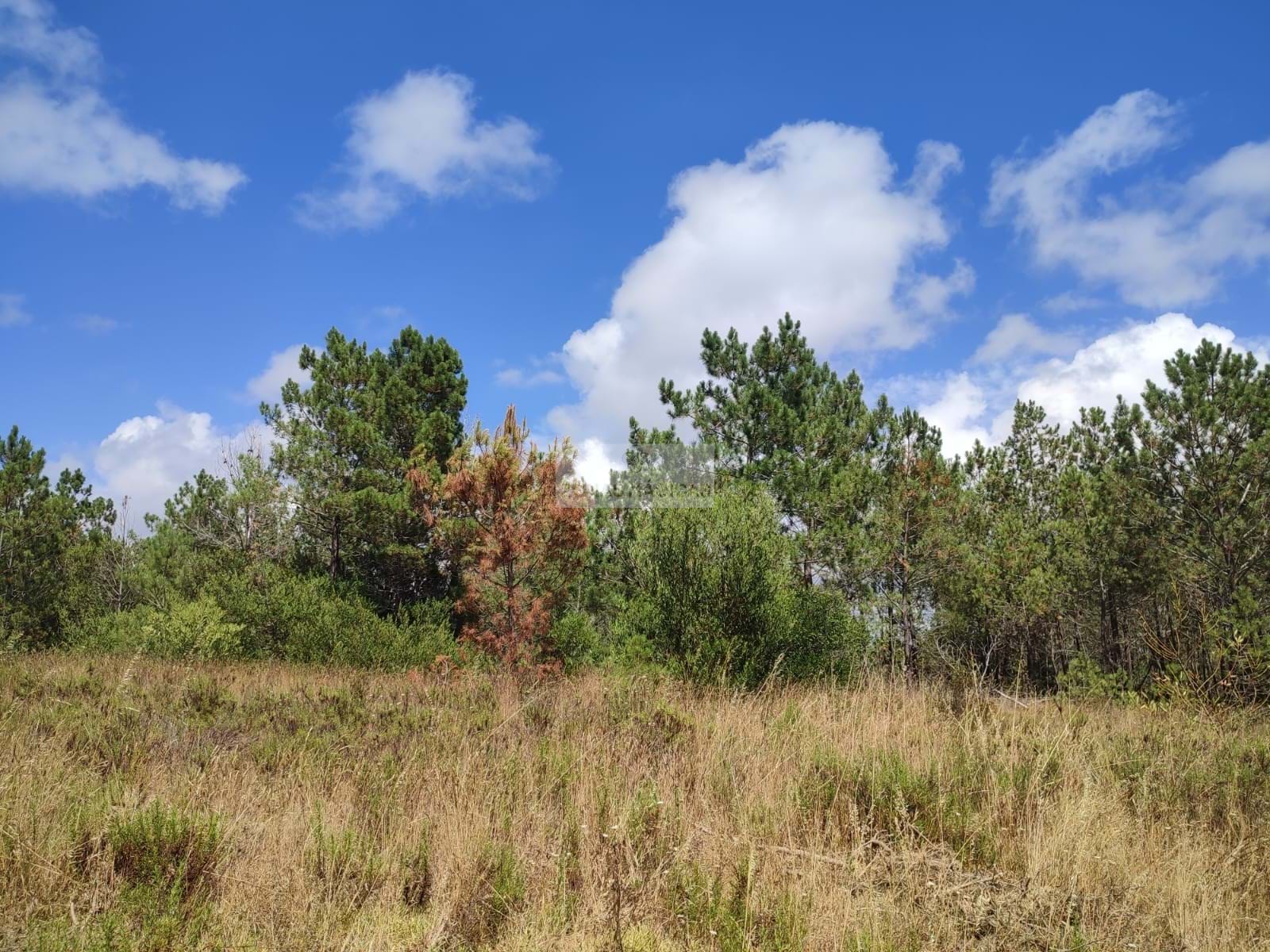 HouseFor Sale, Aljezur, Faro, 8670-417