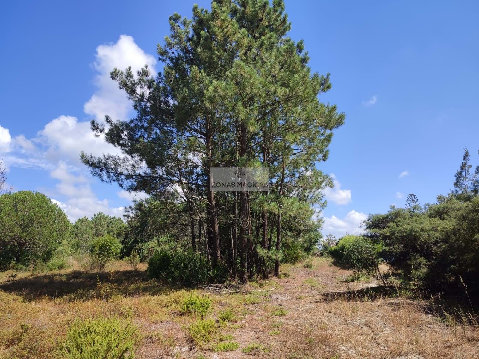 HouseFor Sale, Aljezur, Faro, 8670-417