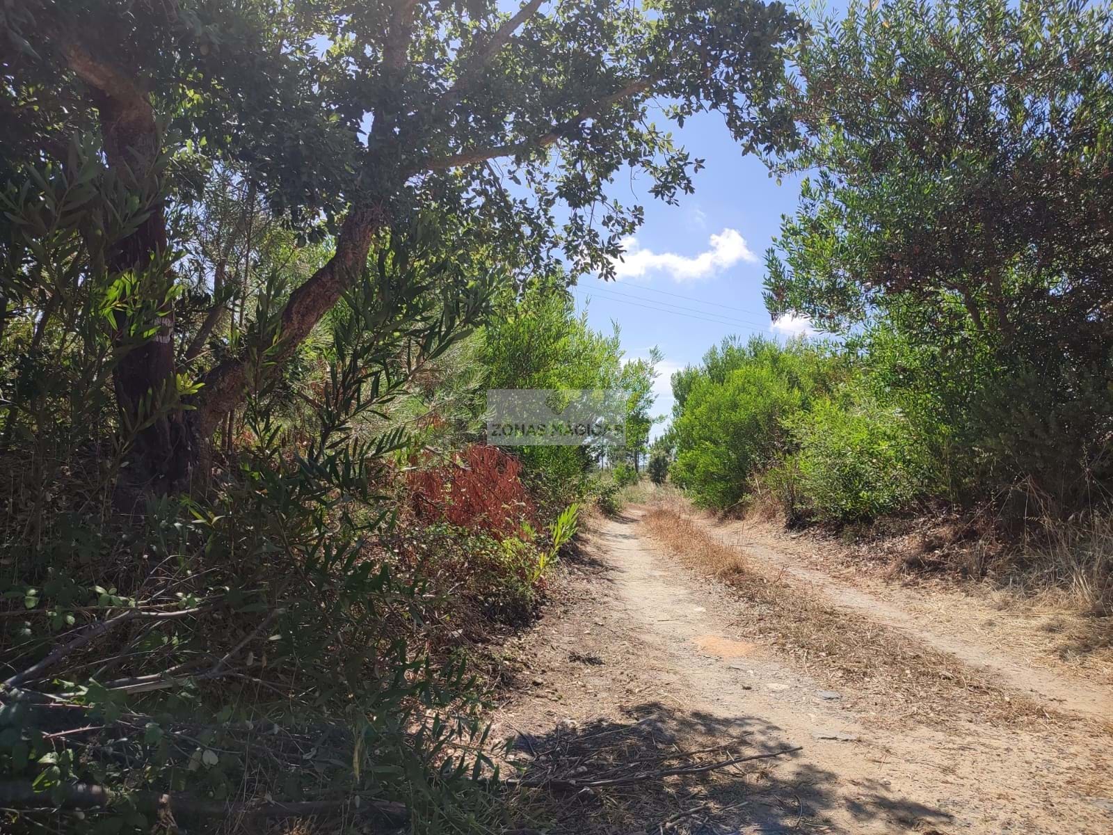 HouseFor Sale, Aljezur, Faro, 8670-417