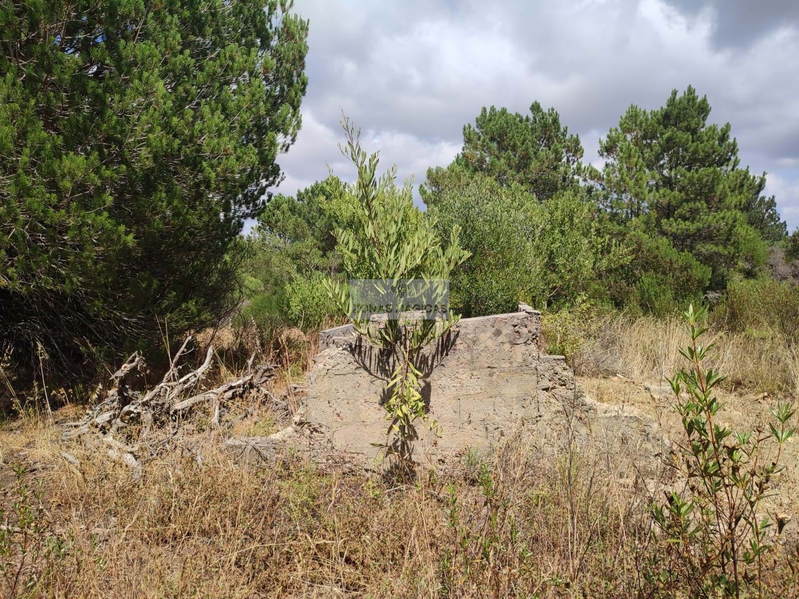 HouseFor Sale, Aljezur, Faro, 8670-417