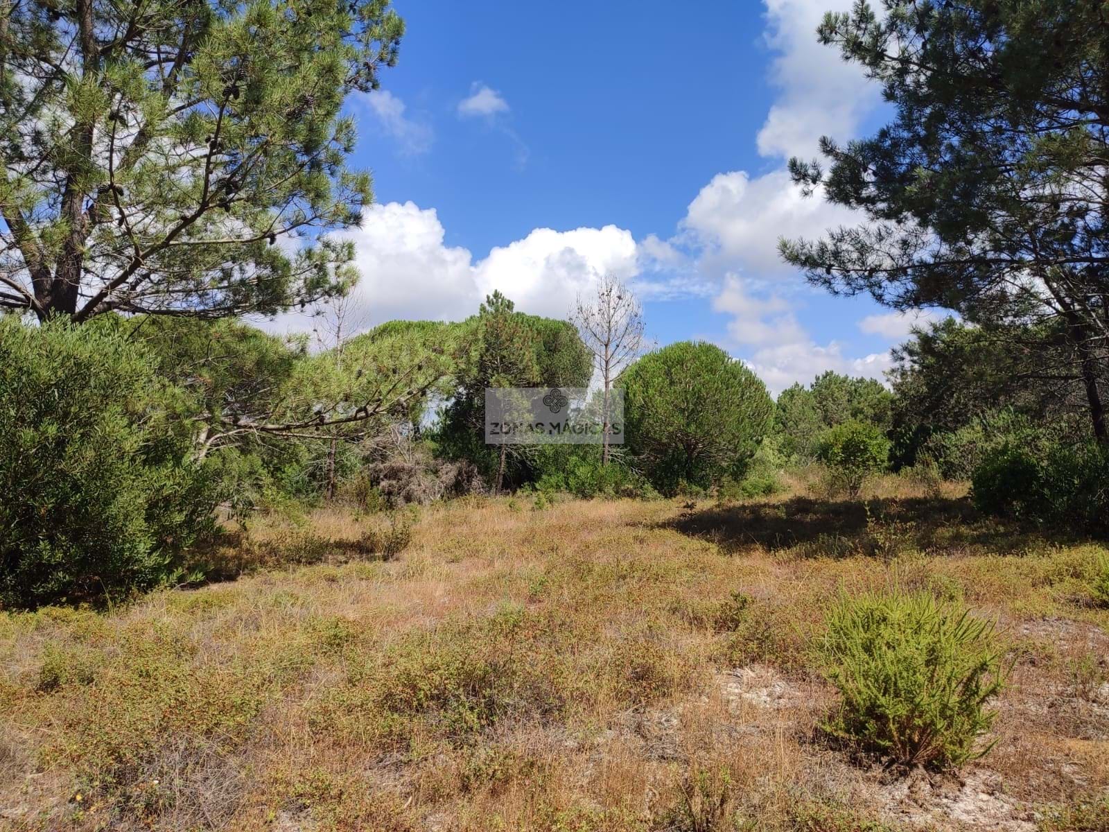 HouseFor Sale, Aljezur, Faro, 8670-417