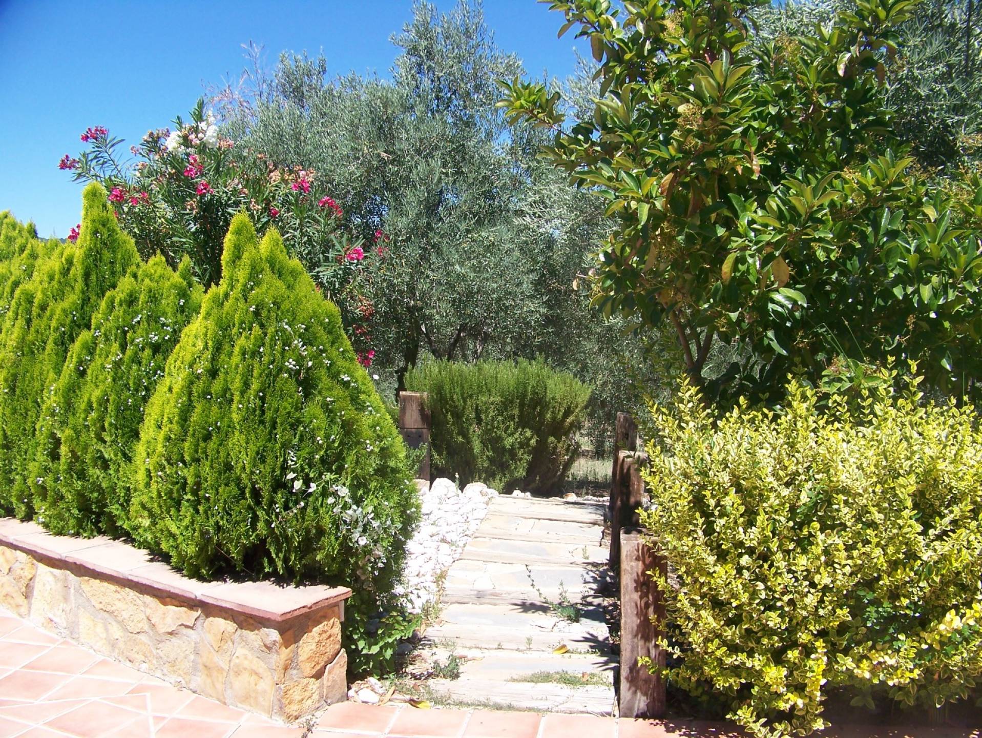 6 Bed, 2 Bath, HouseFor Sale, Arriate, Malaga, 29350