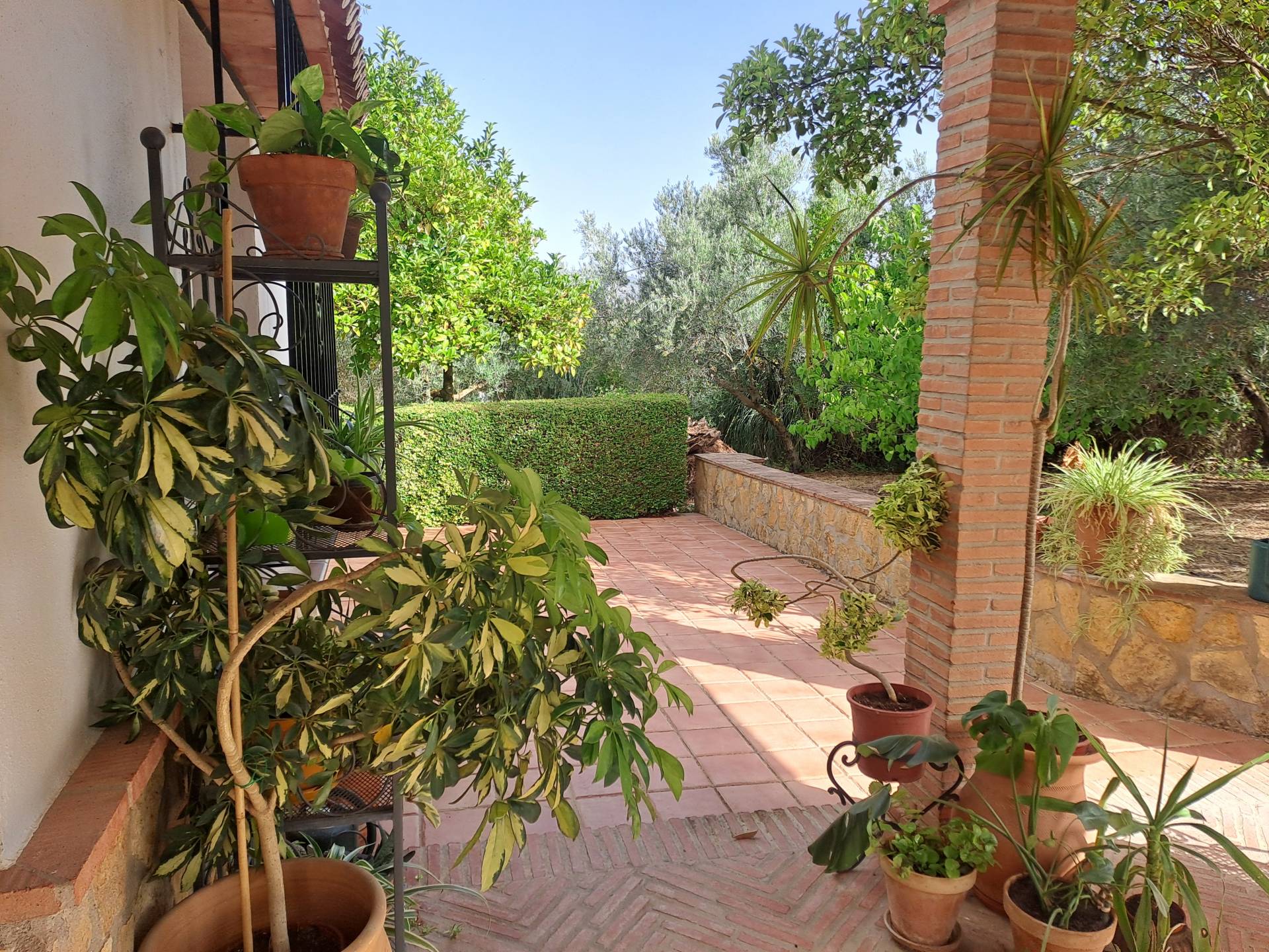 6 Bed, 2 Bath, HouseFor Sale, Arriate, Malaga, 29350