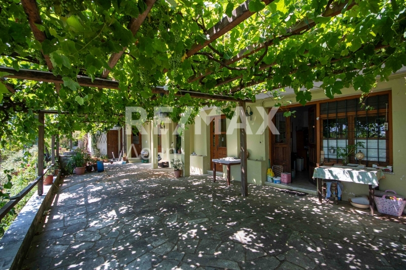 3 Bed, 1 Bath, HouseFor Sale, Tsagkarada, Mouresi, Magnesia
