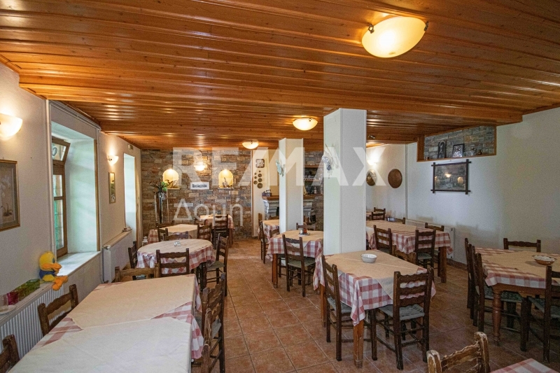 3 Bed, 1 Bath, HouseFor Sale, Tsagkarada, Mouresi, Magnesia