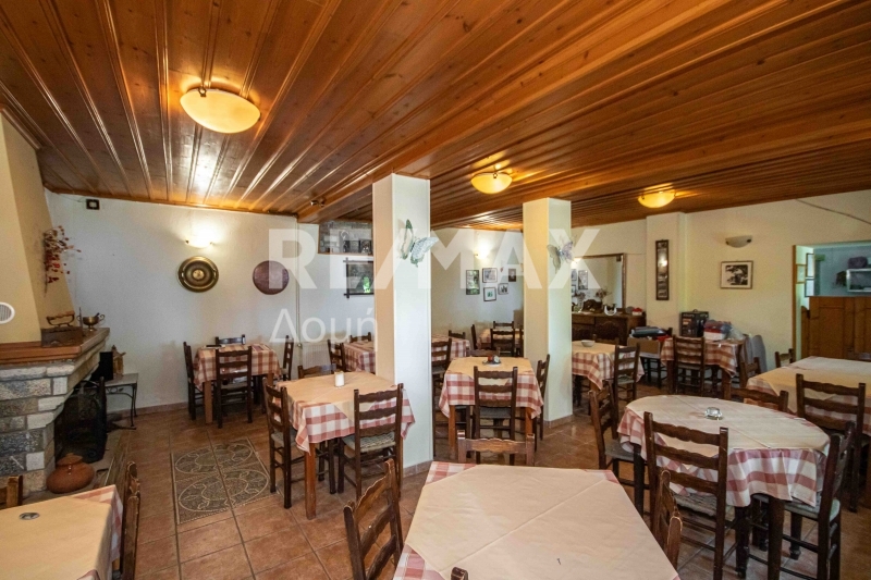 3 Bed, 1 Bath, HouseFor Sale, Tsagkarada, Mouresi, Magnesia