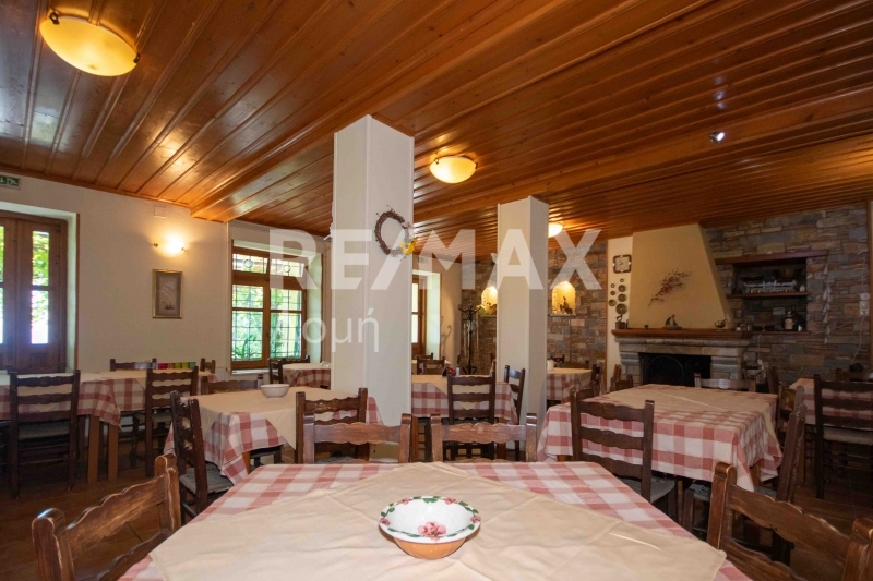 3 Bed, 1 Bath, HouseFor Sale, Tsagkarada, Mouresi, Magnesia