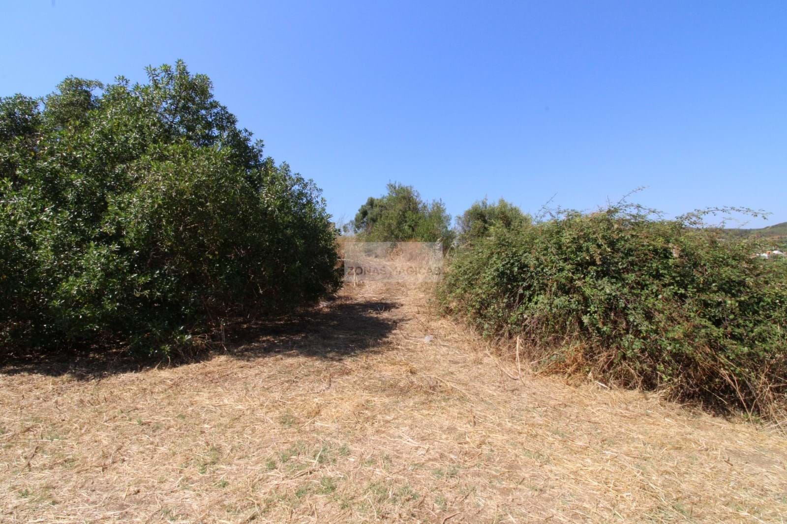 Land, For Sale Land, For Sale