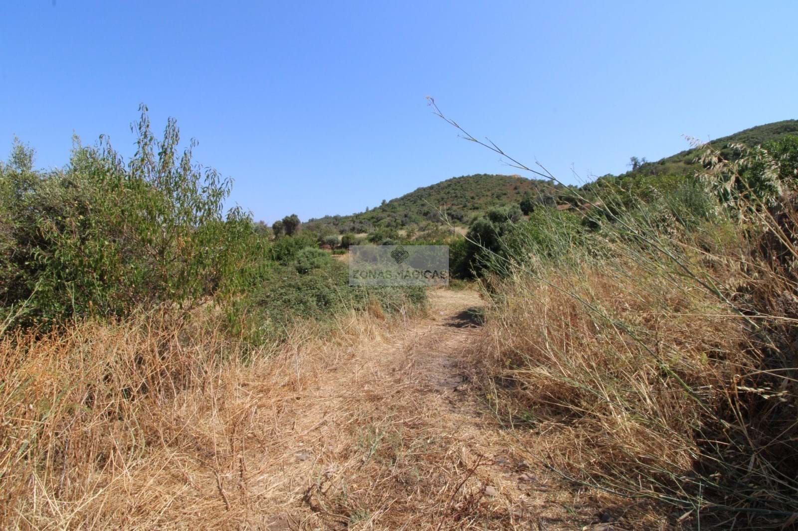 Land, For Sale Land, For Sale