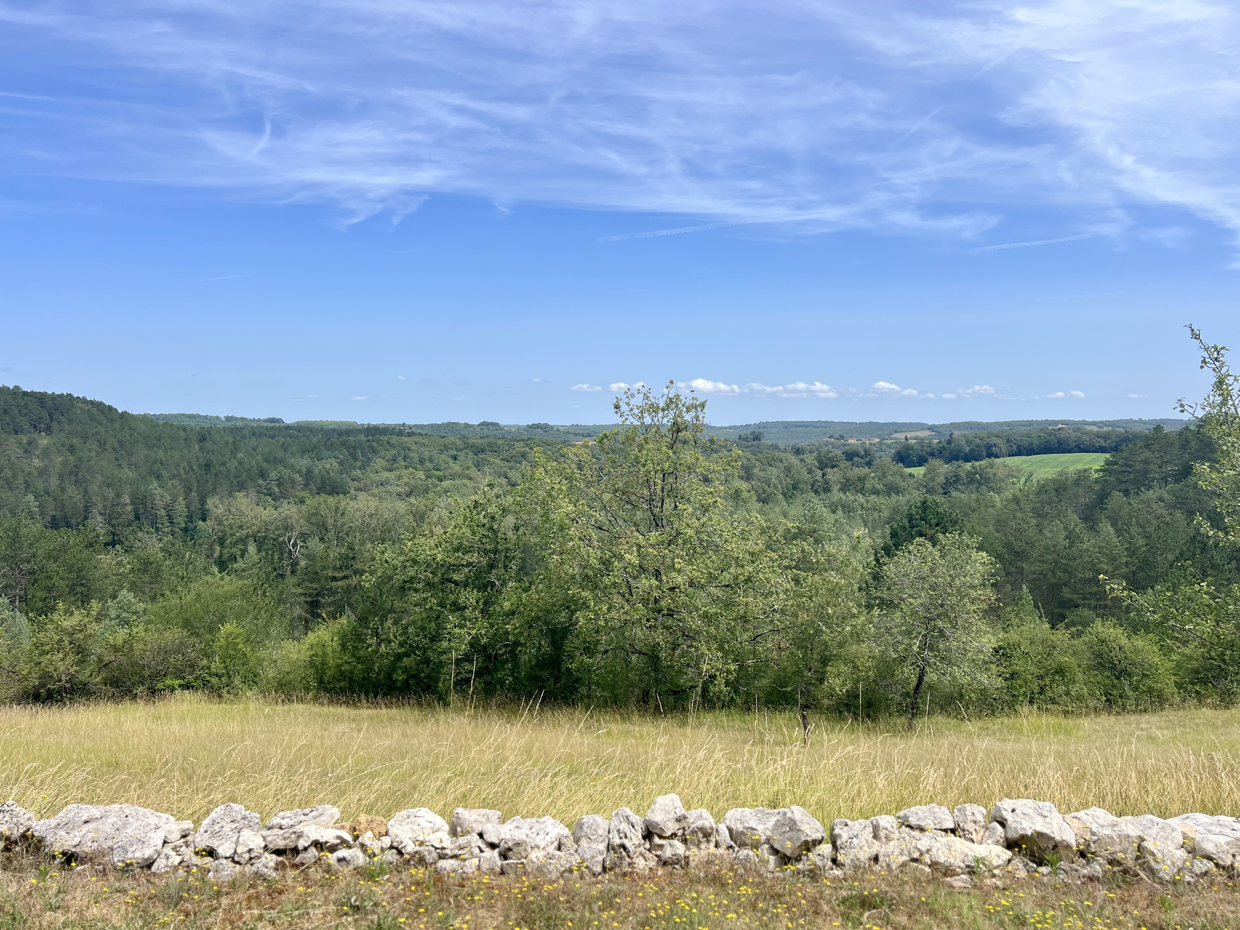 Commercial Property, For Sale