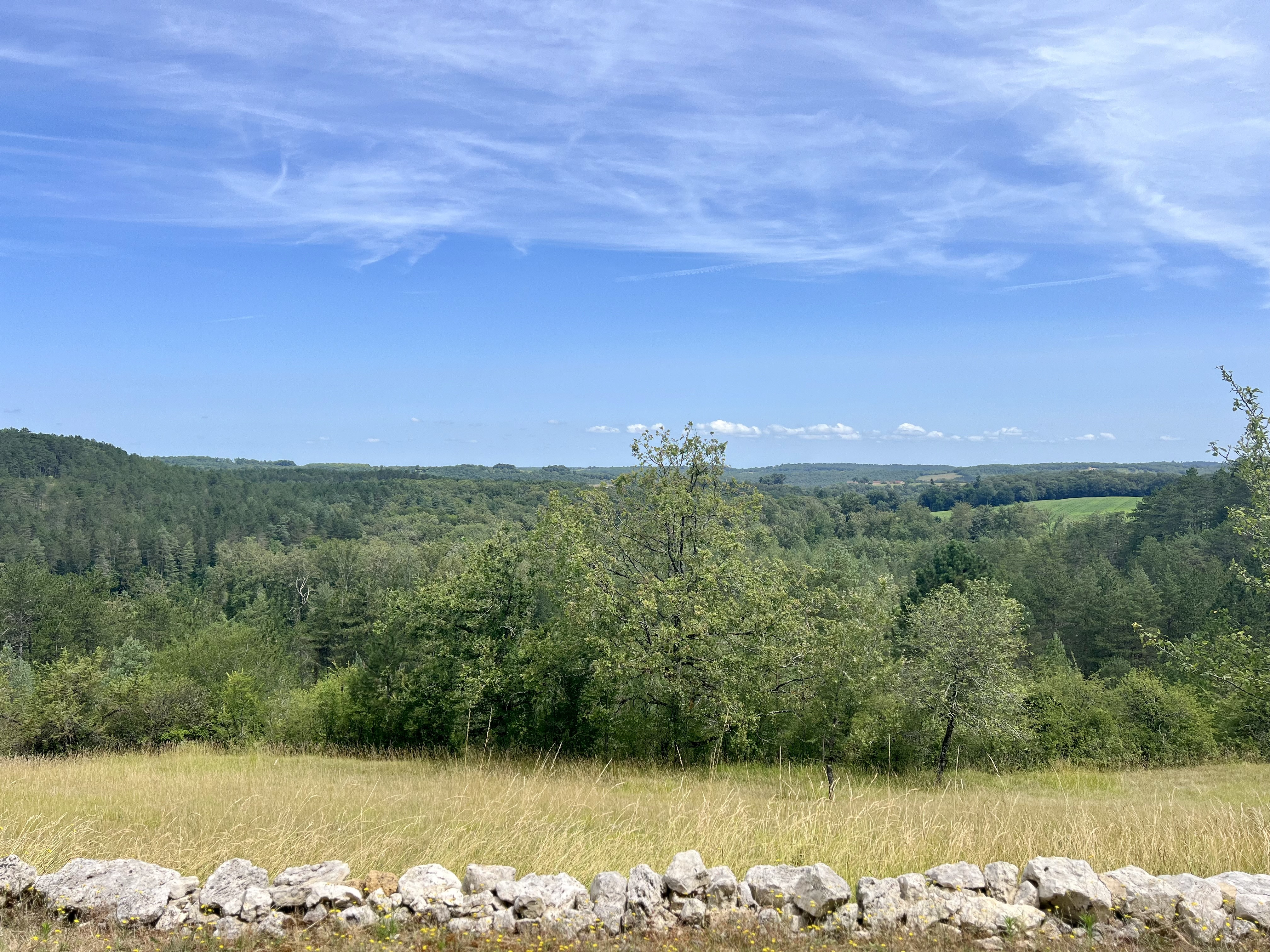 Commercial Property, For Sale