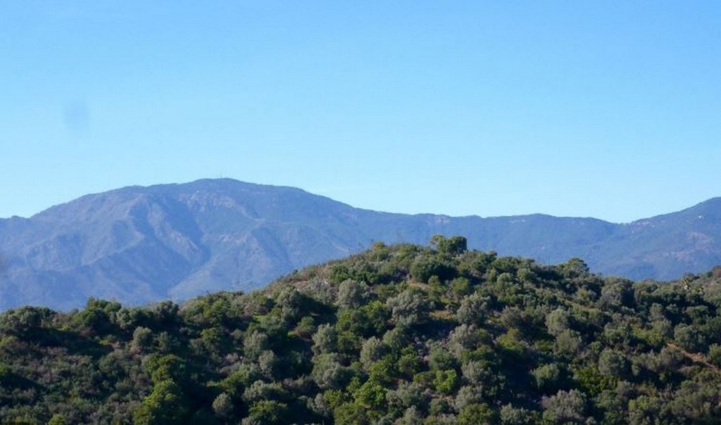 Land, For Sale