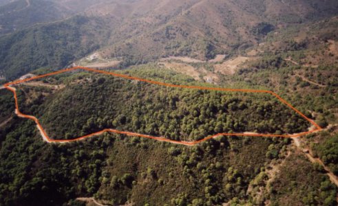 Land, For Sale