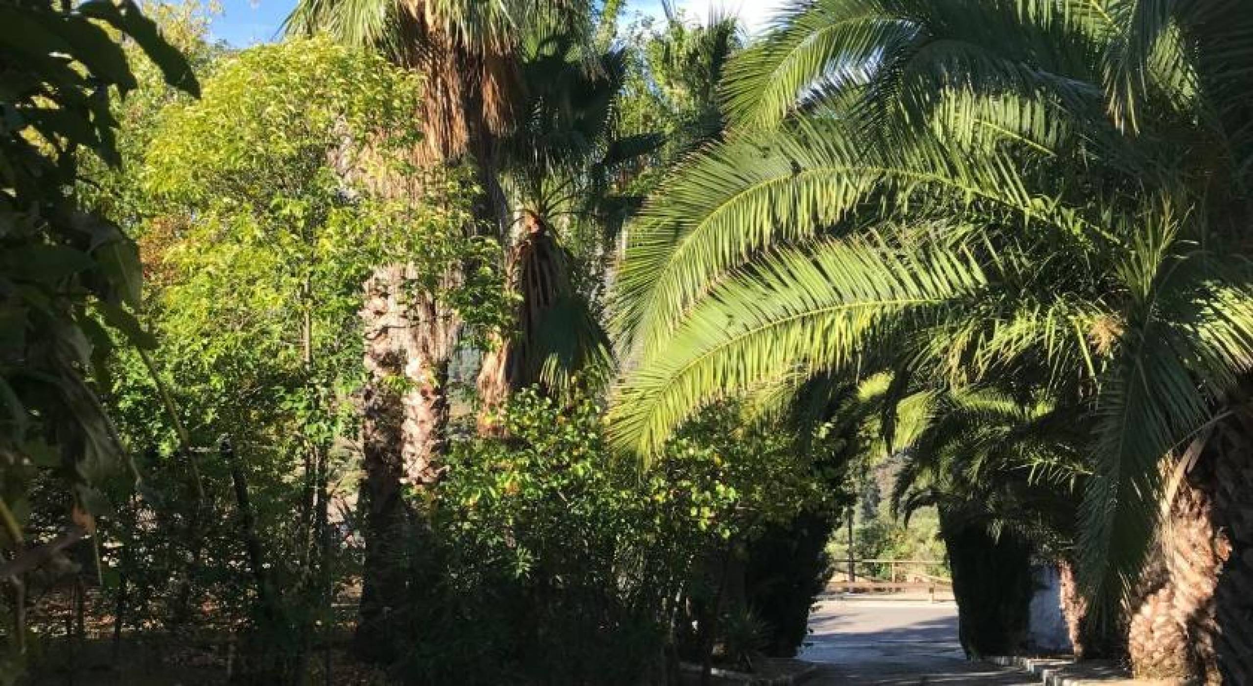 Commercial Property, For Sale