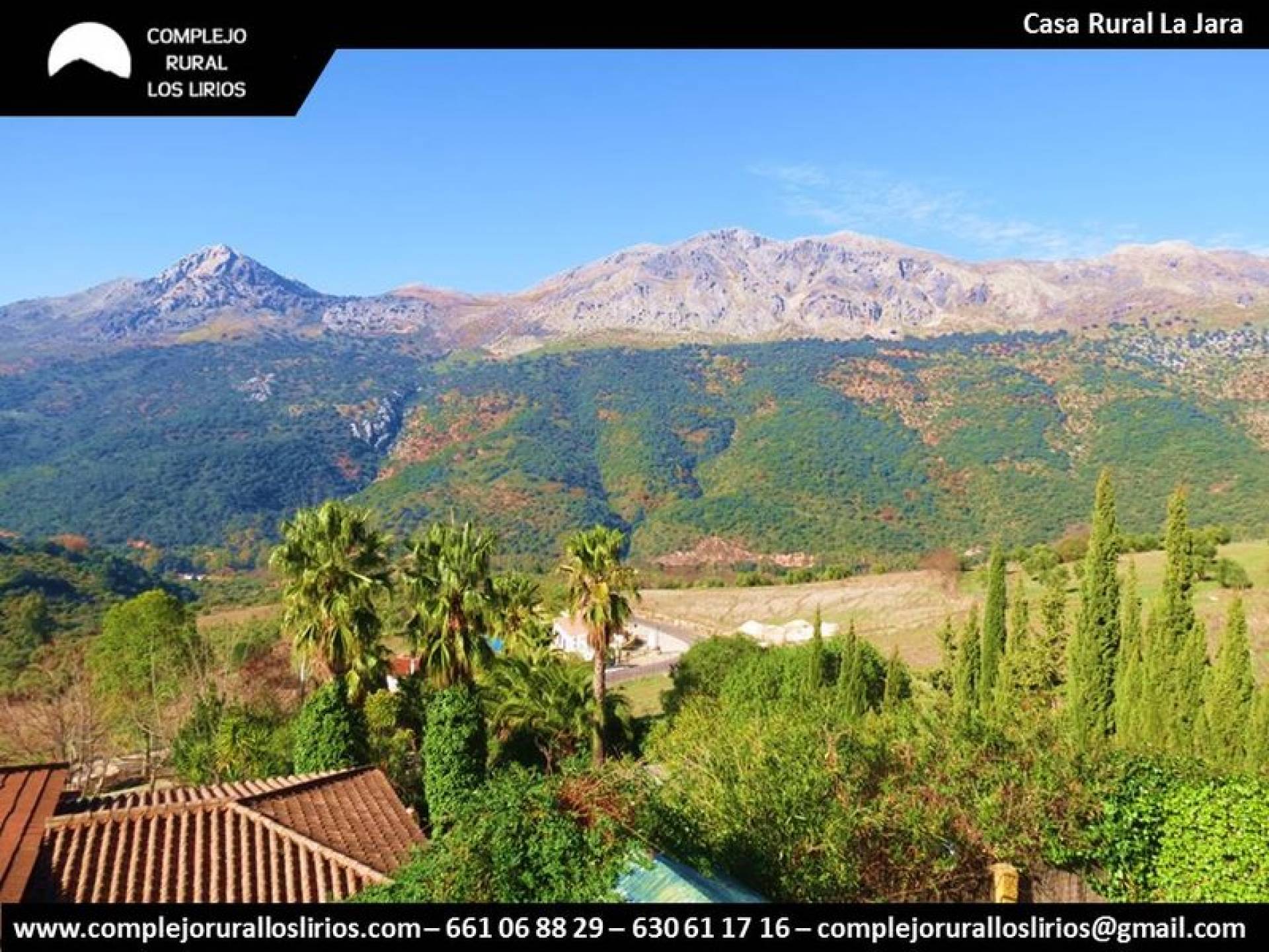 Commercial Property, For Sale