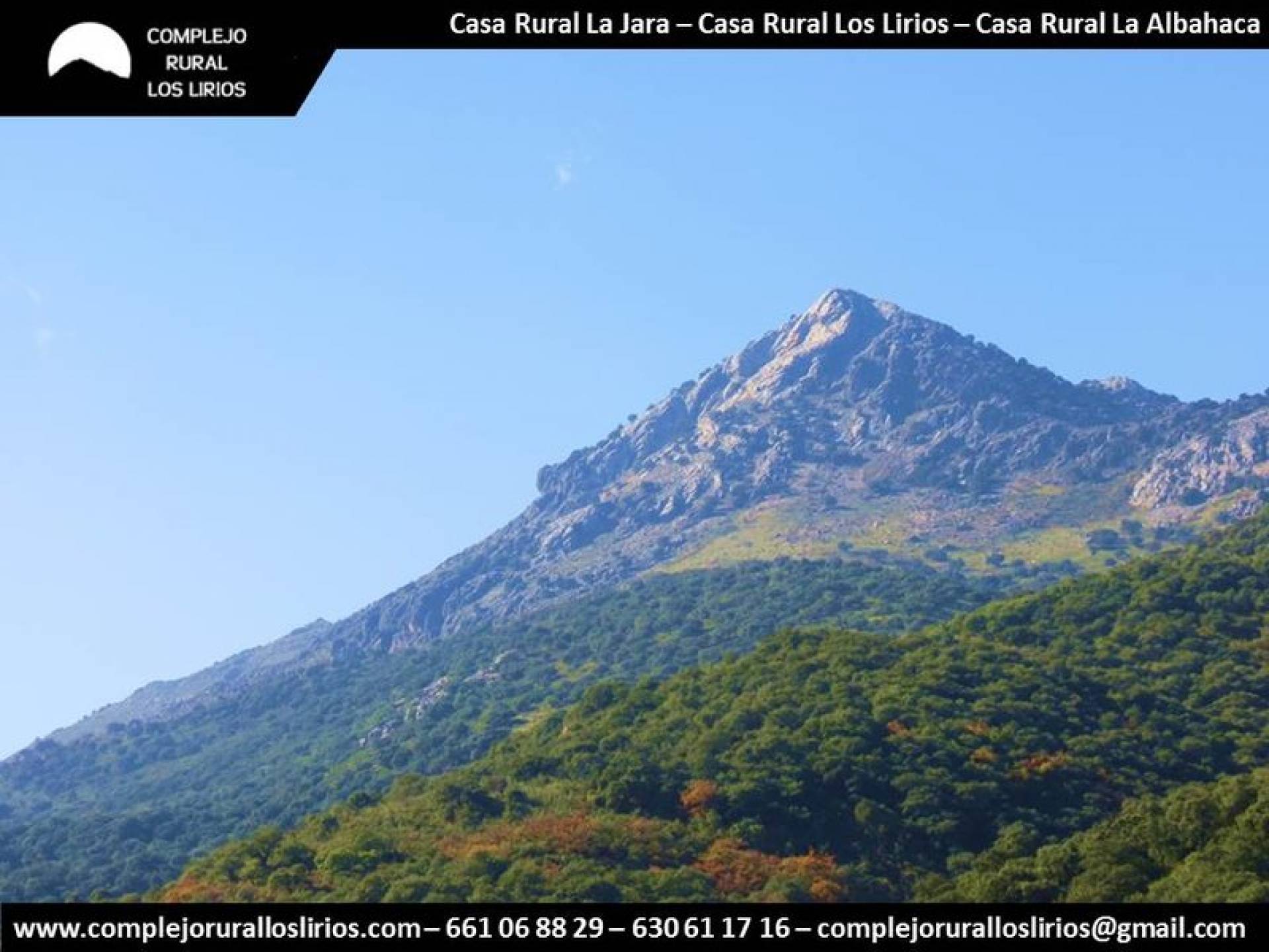 Commercial Property, For Sale