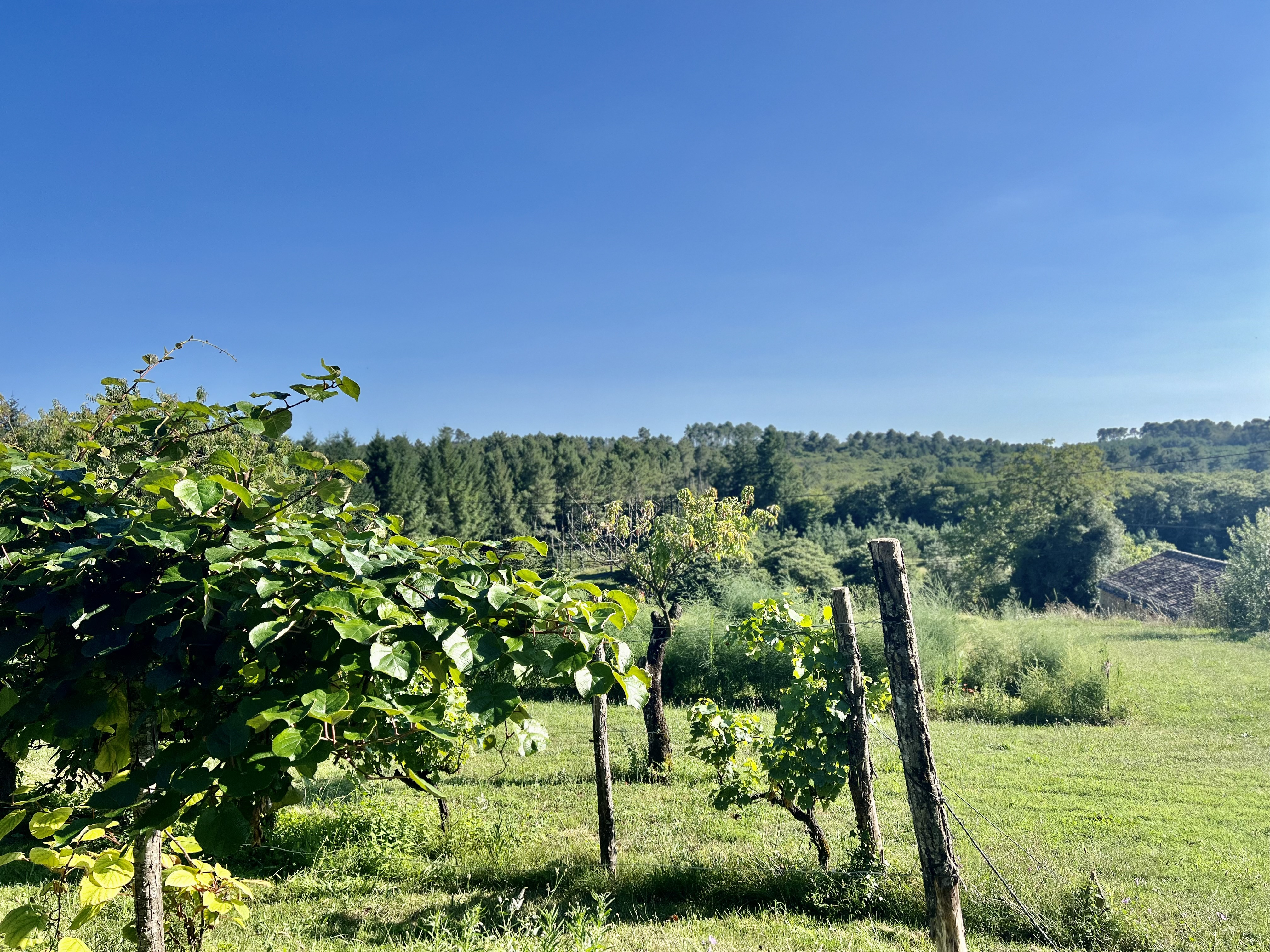 Commercial Property, For Sale