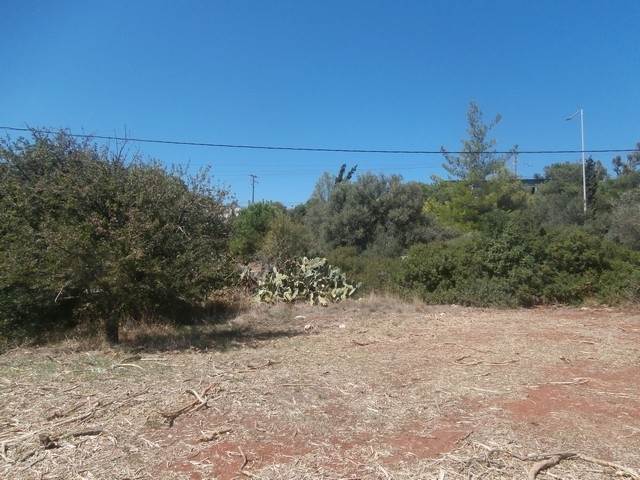 Land, For Sale