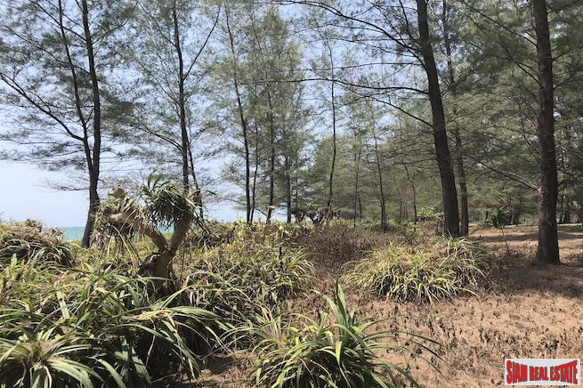 Land, For Sale Land, For Sale