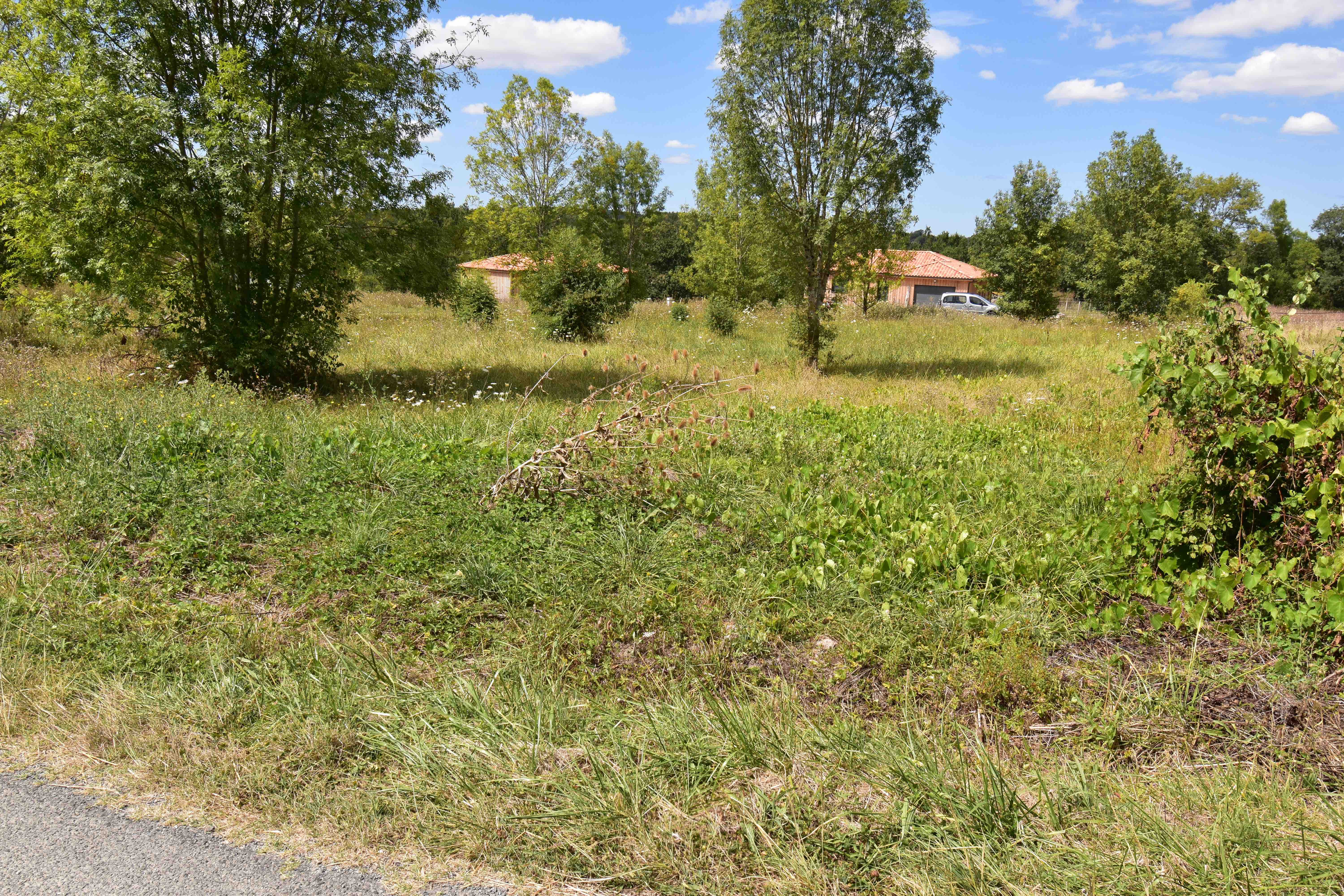 Land, For Sale
