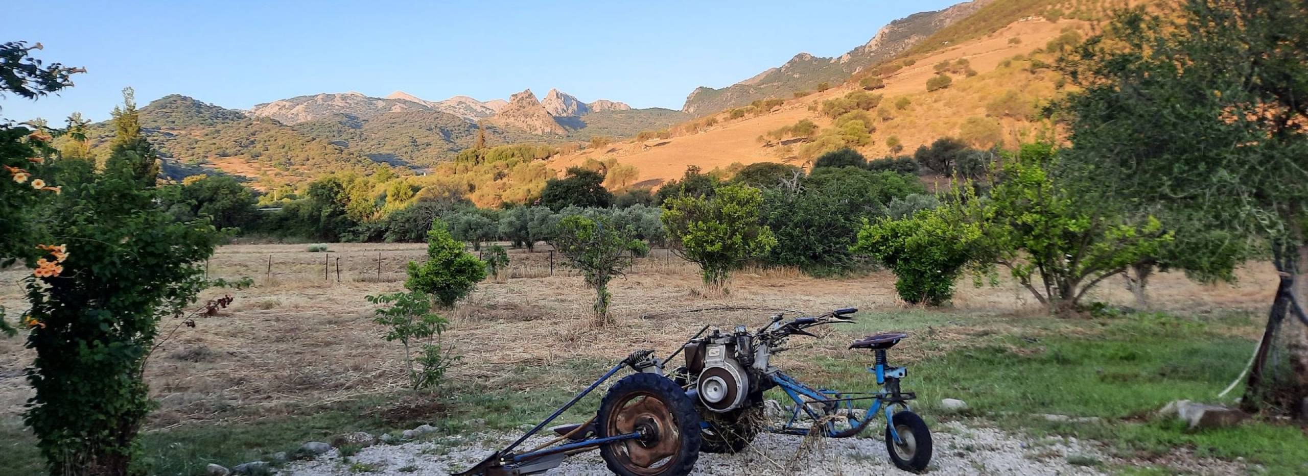 Commercial Property, For Sale