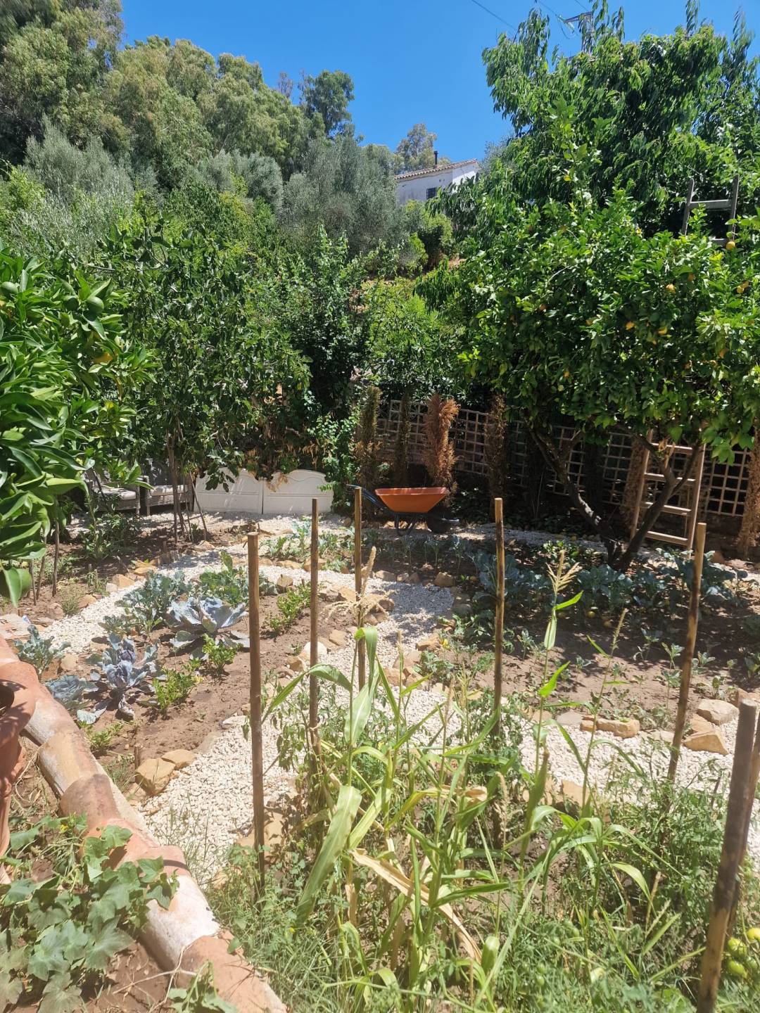 Land, For Sale Land, For Sale