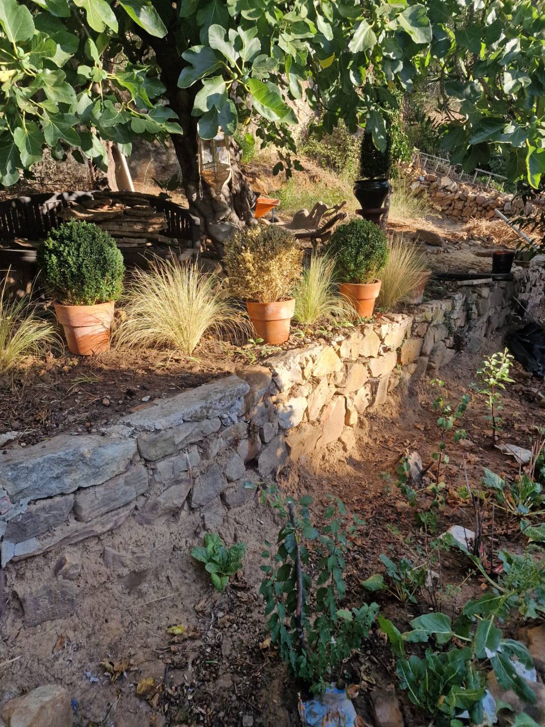 Land, For Sale Land, For Sale