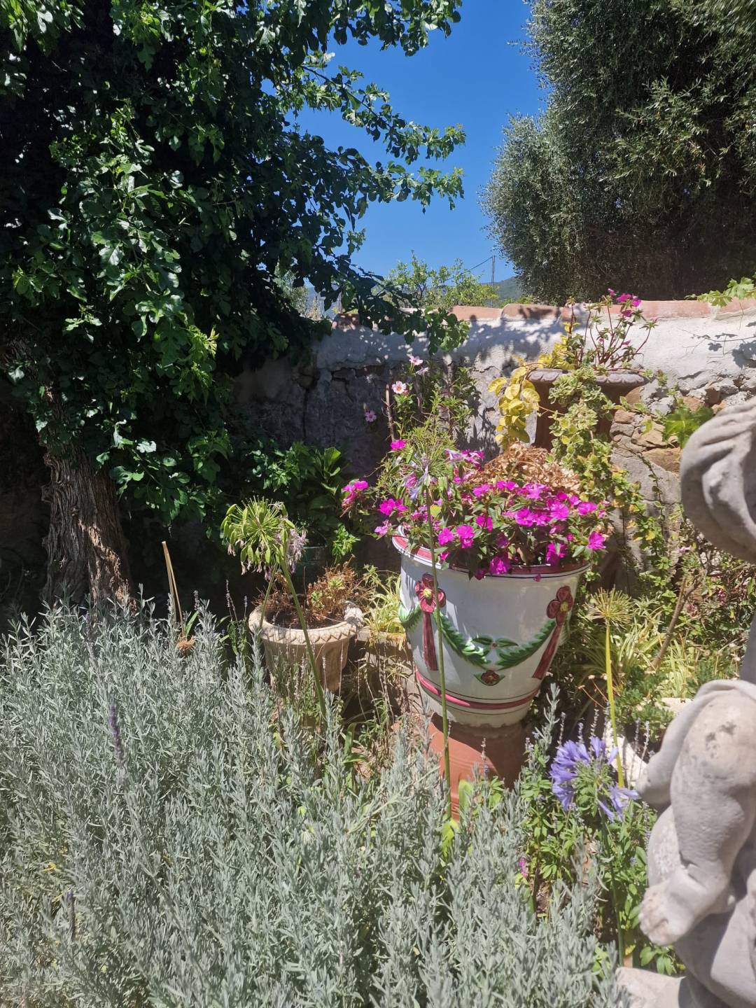 Land, For Sale Land, For Sale