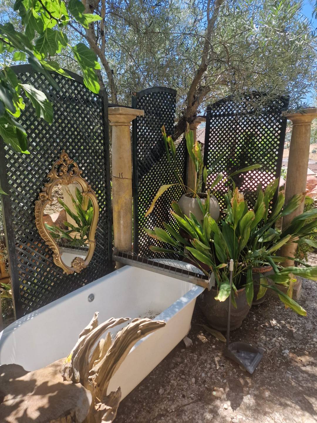 Land, For Sale Land, For Sale