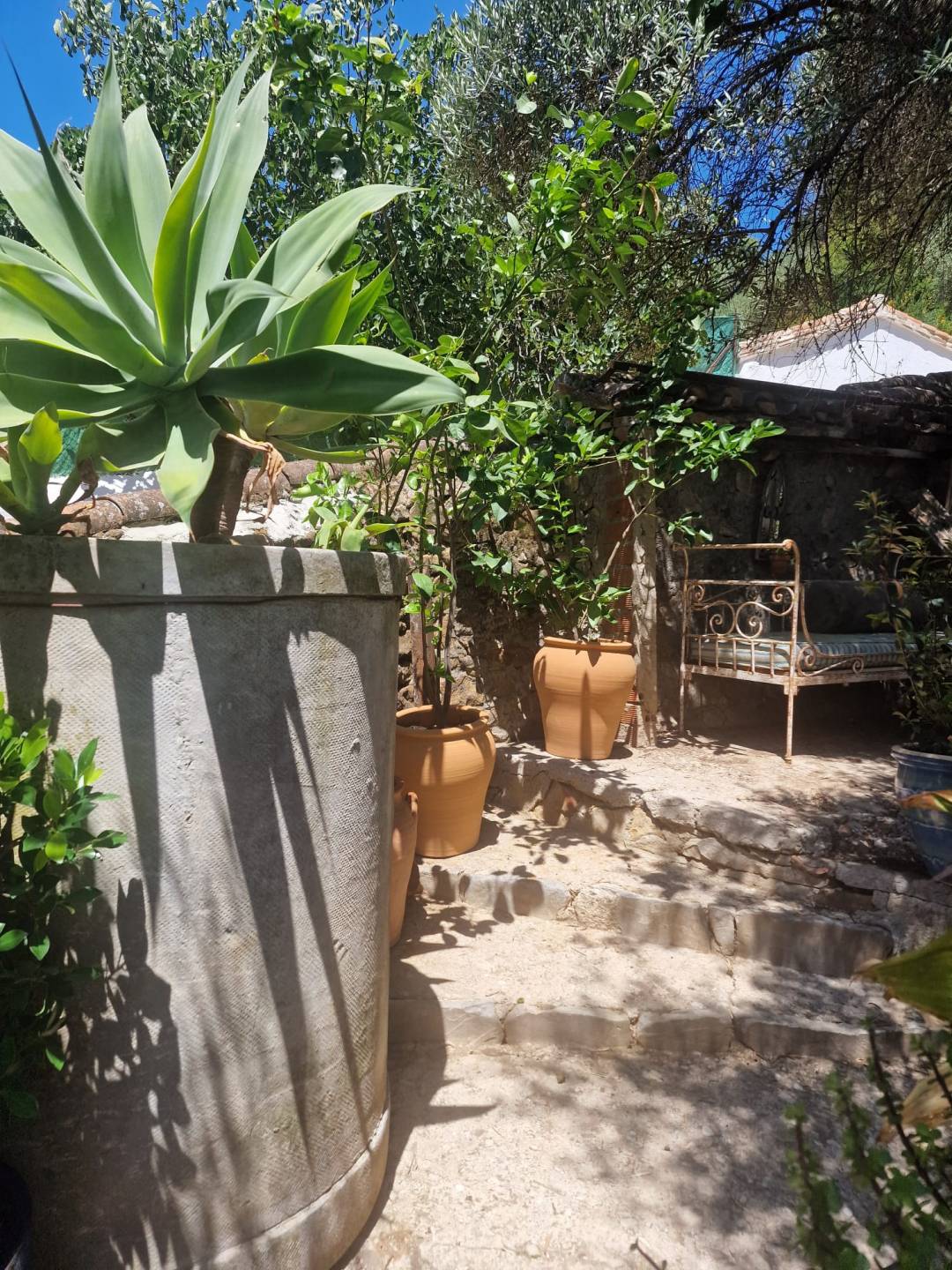 Land, For Sale Land, For Sale