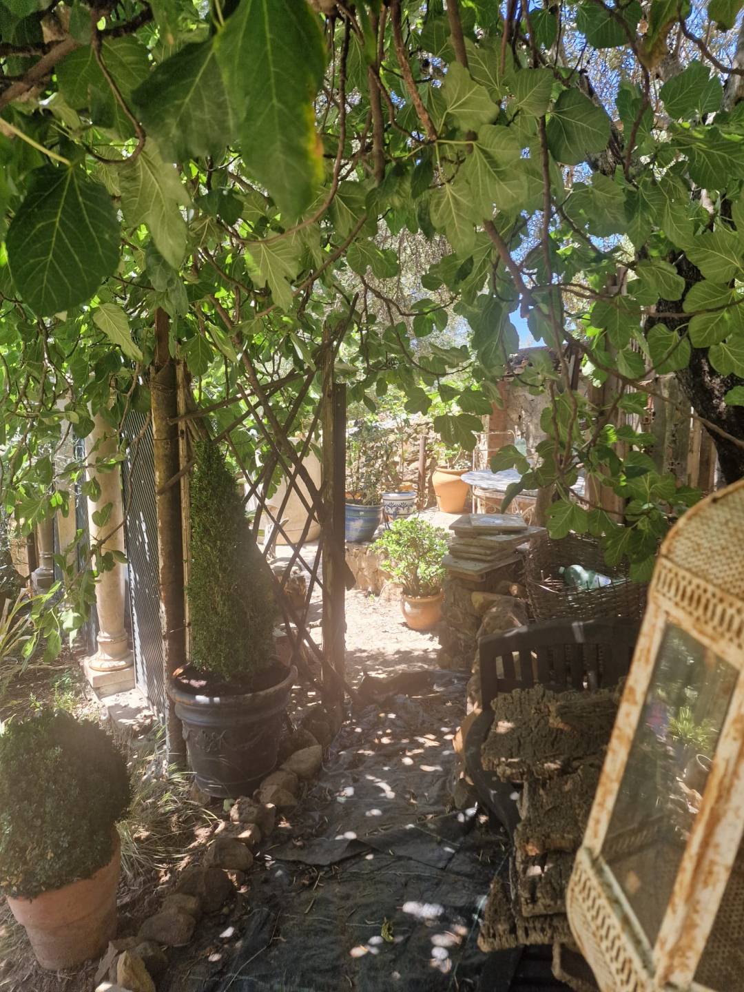 Land, For Sale Land, For Sale