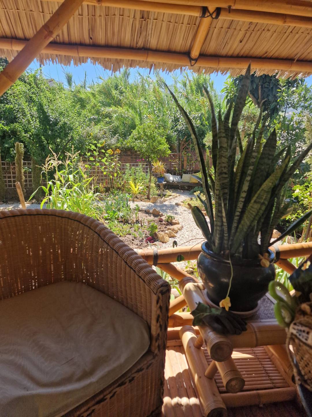 Land, For Sale Land, For Sale