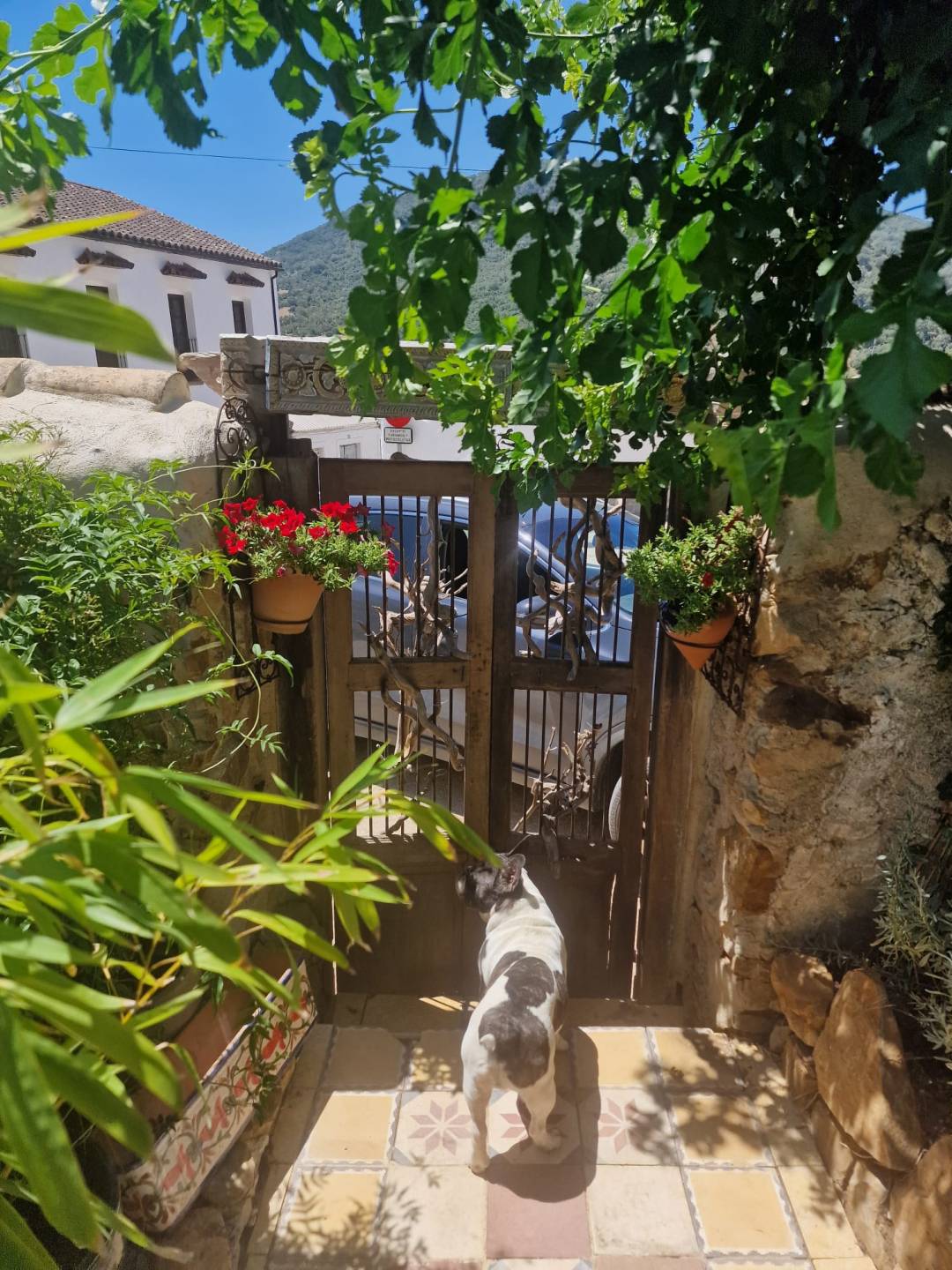 Land, For Sale Land, For Sale