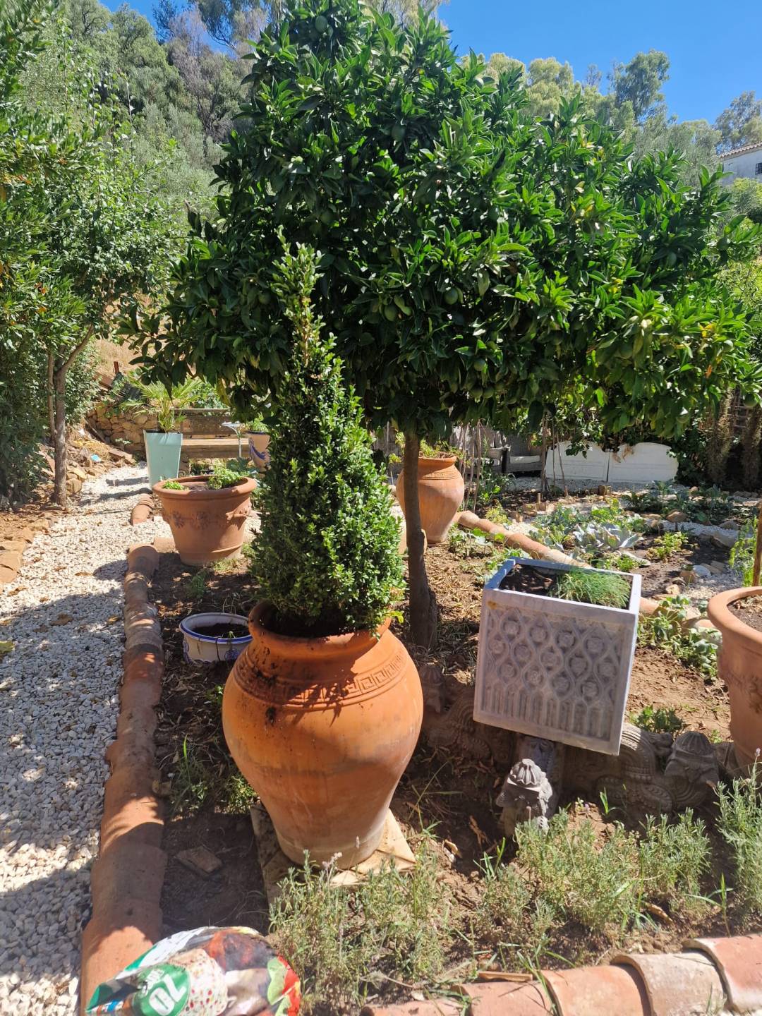 Land, For Sale Land, For Sale