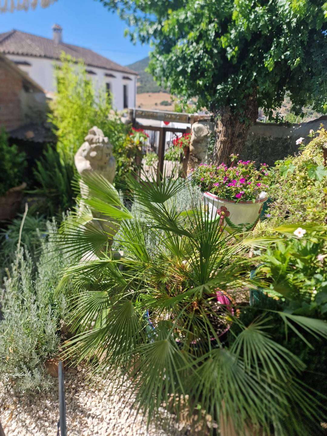 Land, For Sale Land, For Sale