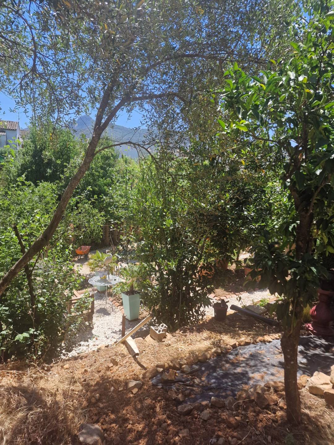 Land, For Sale Land, For Sale