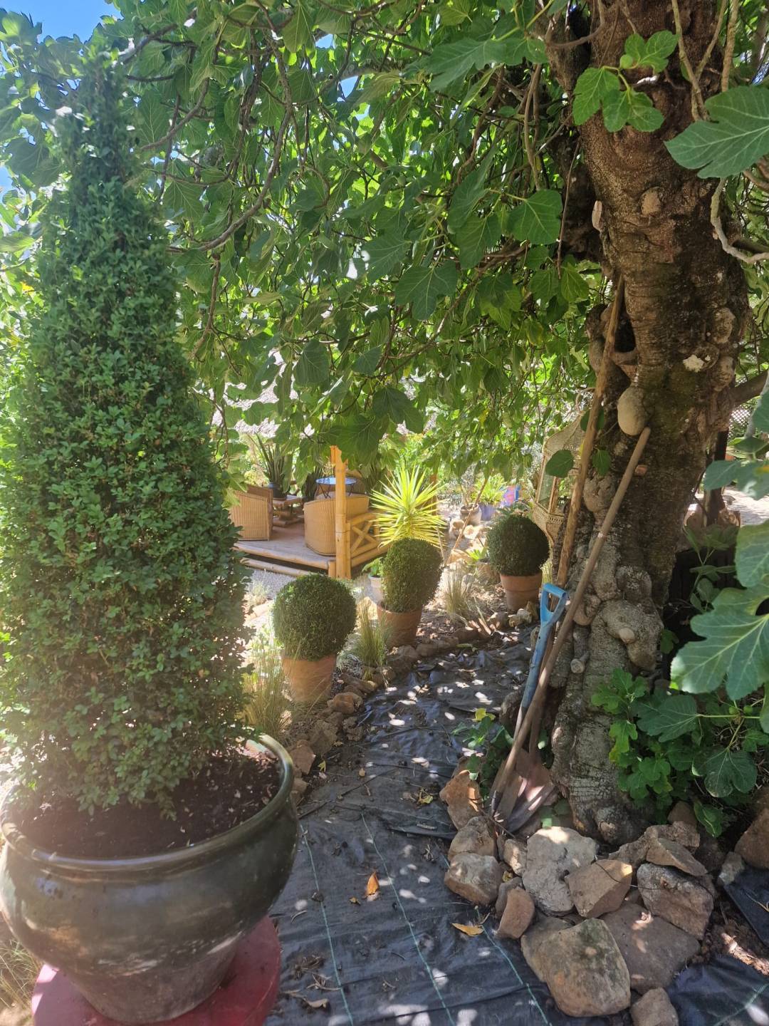 Land, For Sale Land, For Sale