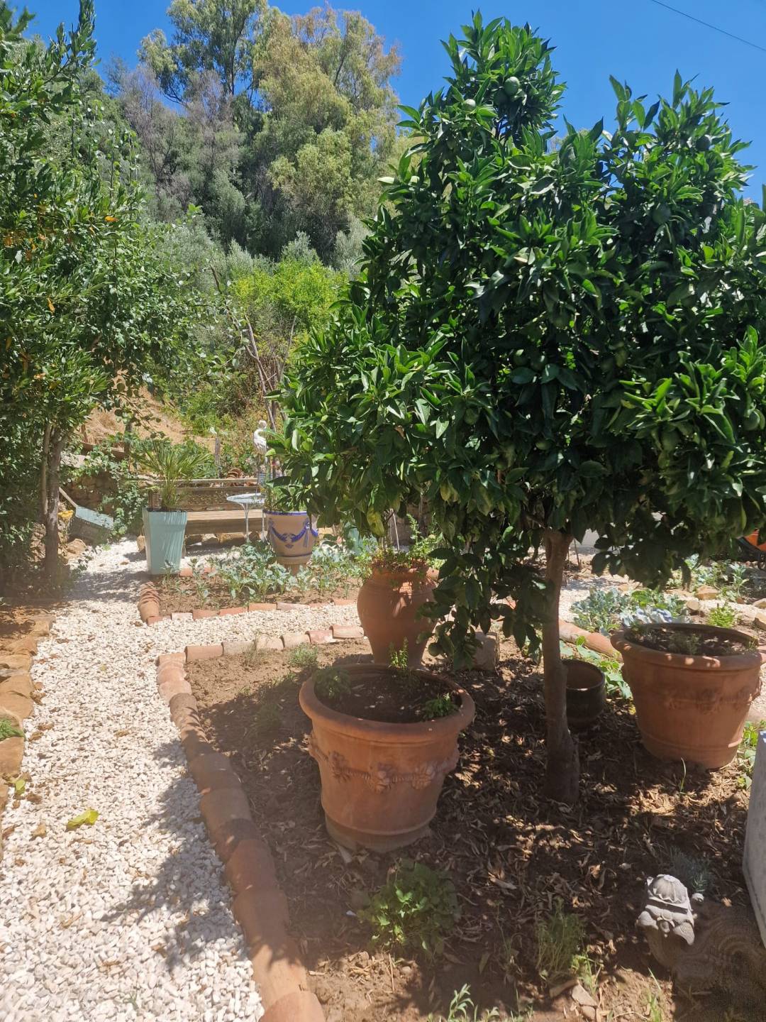 Land, For Sale Land, For Sale