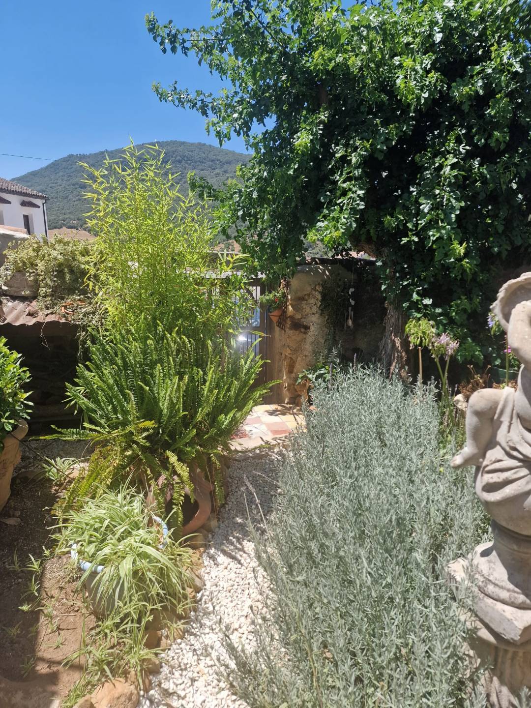 Land, For Sale Land, For Sale