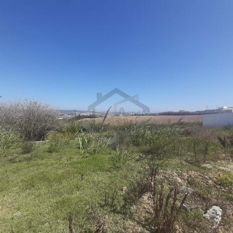 4 Bed, 3 Bath, HouseFor Sale, Lourinhã, Lisboa