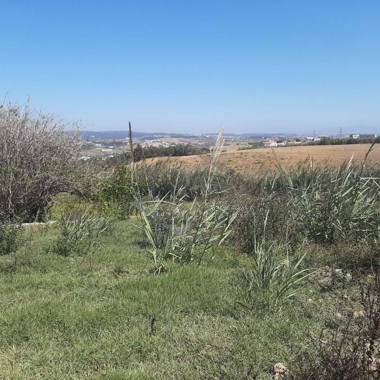 4 Bed, 3 Bath, HouseFor Sale, Lourinhã, Lisboa