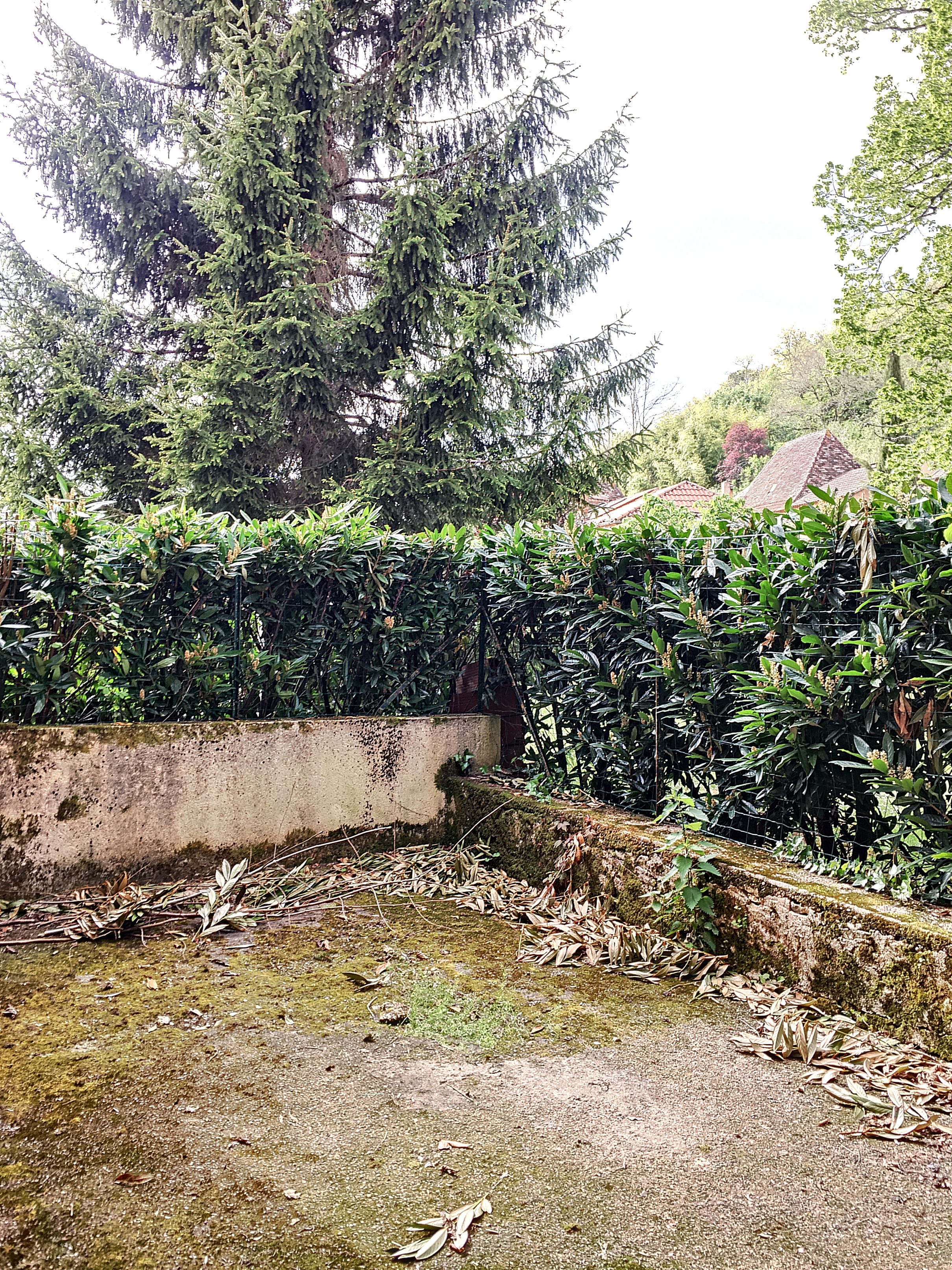 4 Bed, 1 Bath, HouseFor Sale, Le buisson de cadouin, Dordogne, Aquitaine, 24480