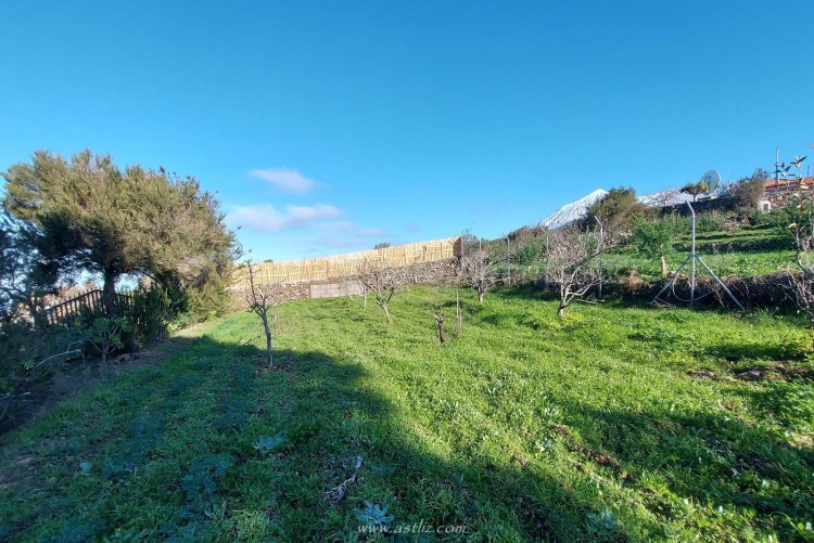 2 Bed, 1 Bath, HouseFor Sale, San Jose de los Llanos, El Tanque