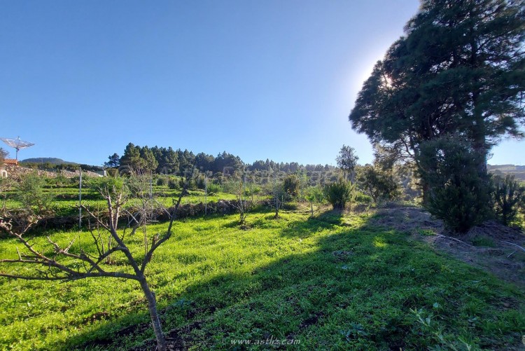 2 Bed, 1 Bath, HouseFor Sale, San Jose de los Llanos, El Tanque