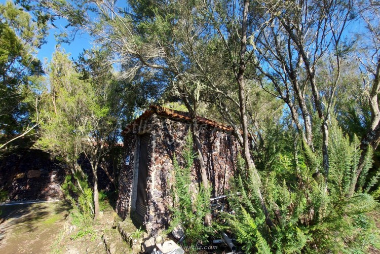 2 Bed, 1 Bath, HouseFor Sale, San Jose de los Llanos, El Tanque