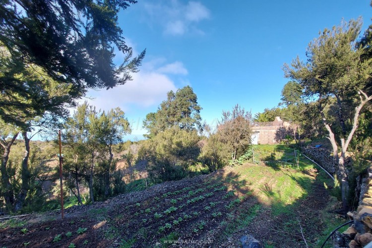 2 Bed, 1 Bath, HouseFor Sale, San Jose de los Llanos, El Tanque