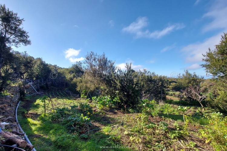 2 Bed, 1 Bath, HouseFor Sale, San Jose de los Llanos, El Tanque