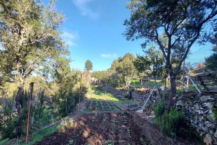 2 Bed, 1 Bath, HouseFor Sale, San Jose de los Llanos, El Tanque