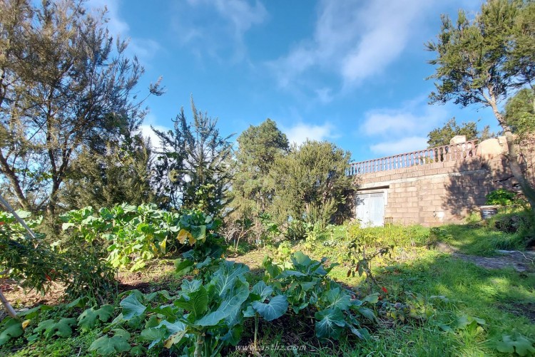 2 Bed, 1 Bath, HouseFor Sale, San Jose de los Llanos, El Tanque